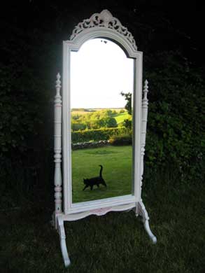 Hand painted mirror image